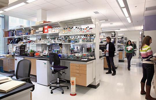 The Koch Institute Lab