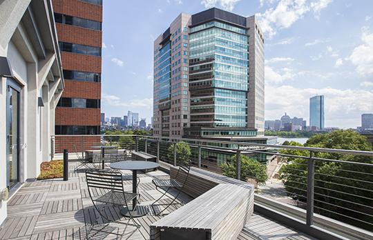 139 Main Street roof deck
